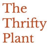 The Thrifty Plant