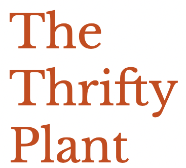 The Thrifty Plant